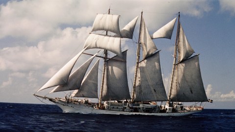 Image of Flying Clipper