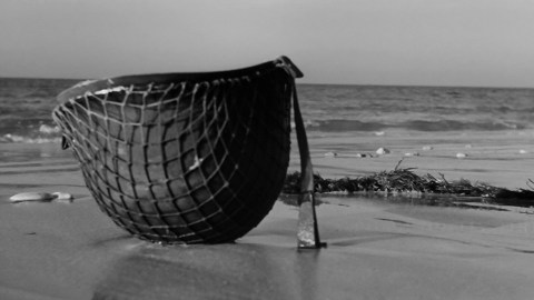 Image of The Longest Day