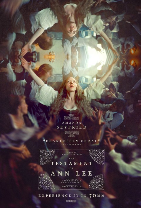 Plakát filmu Svědectví o Ann Lee